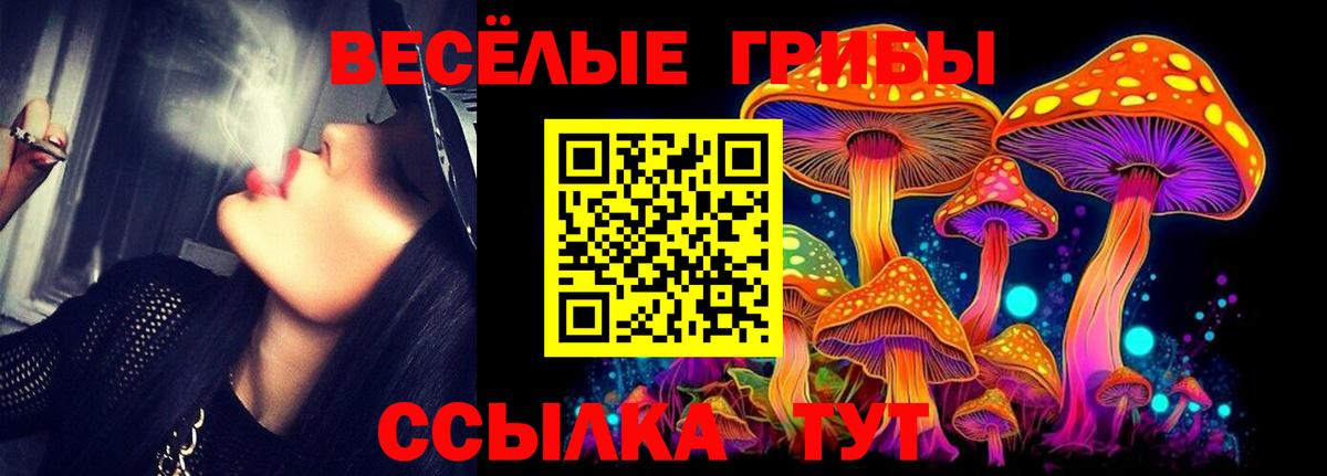 Псилоцибиновые грибы прущие грибы  Вход с VPN  Богданович 